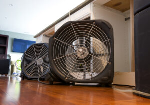 Drying & Dehumidification Services in Allen