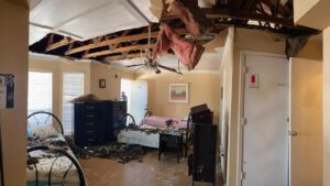 storm damage and disaster damage repair services in Allen
